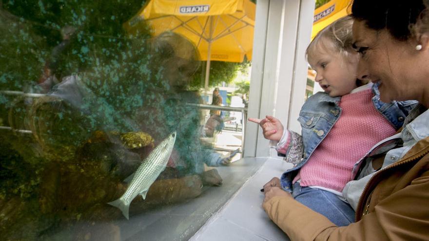 Una niña observa un pez en el acuario