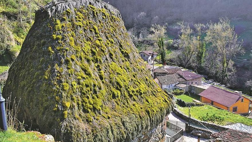 Detalle del tejado de escoba y algunas casas del pueblo de Veigas, en el valle de Saliencia, en Somiedo.