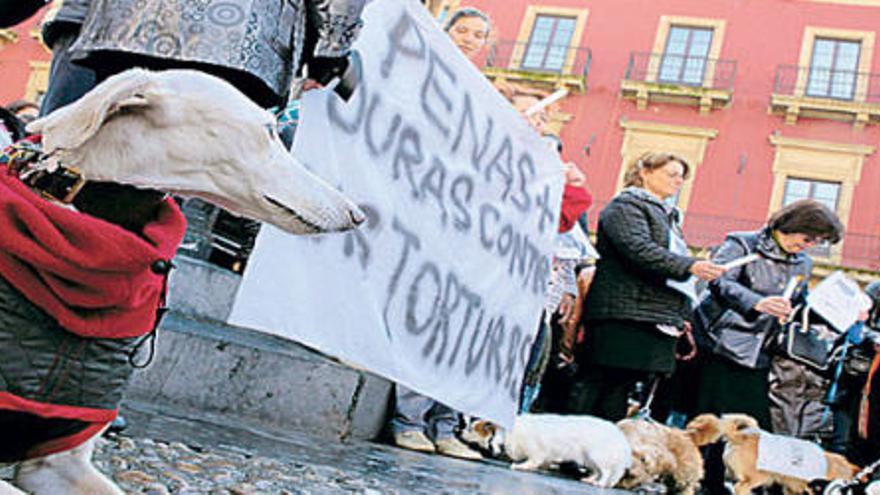 Manifestantes, con sus mascotas, en la plaza Mayor.