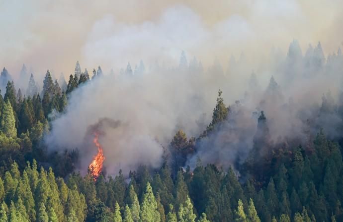 10-08-2019 ARTENARA. Incendio en la cumbre de Gran Canaria  | 10/08/2019 | Fotógrafo: Andrés Cruz