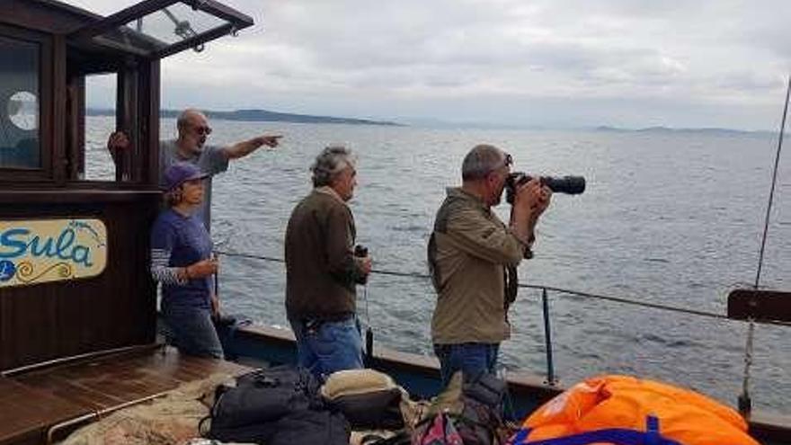 Observación de aves y cetáceos  |  Una de las opciones estivales en auge es la observación de aves y mamíferos marinos que se lleva a cabo a bordo del pesquero rehabilitado &quot;Chasula&quot;. Su patrón, Isidro Mariño -en la foto, señalando con el dedo- también propicia jornadas de pesca y el disfrute del Parque Nacional Islas Atlánticas.