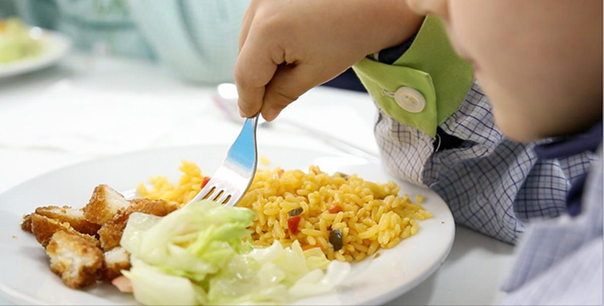 Servicios de catering para los comedores escolares de Alicante