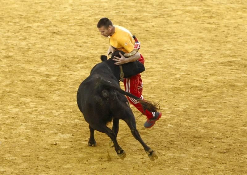 Mañana de vaquillas