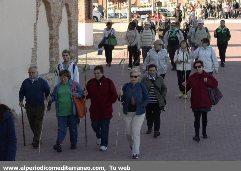 GALERÍA DE FOTOS -  Romería Magdalena 2014 (1)