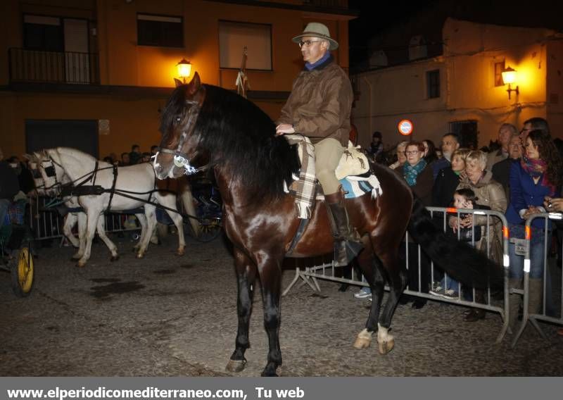 GALERÍA FOTOS - La provincia celebra Sant Antoni