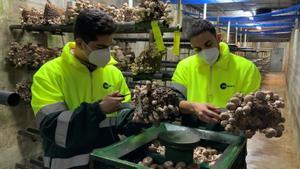 Empleados de ’Bolet ben fet’, una de las empresas premiadas por el BBVA