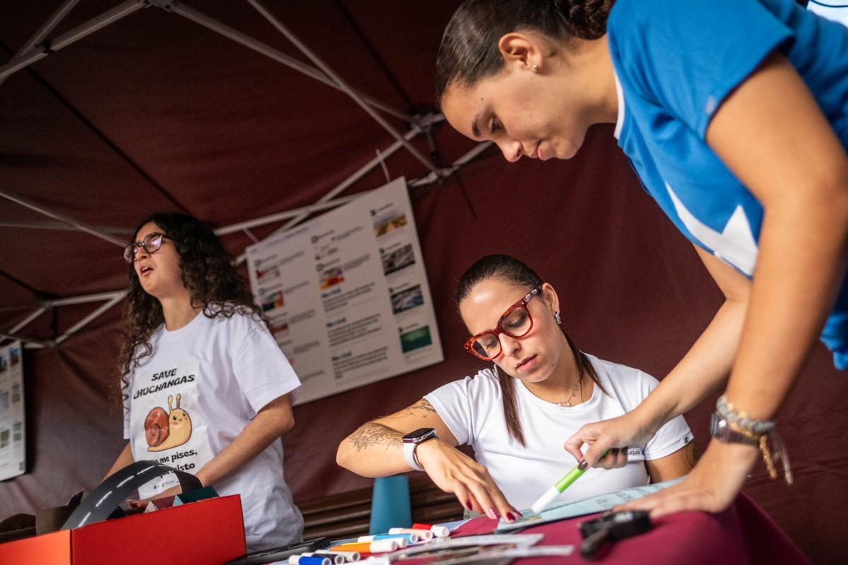 Feria de la Ciencia de La Orotava
