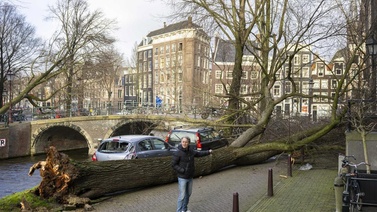 Un árbol caído en una de las calles de Ámsterdam (Países Bajos).