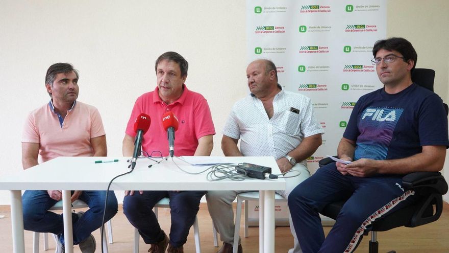 Ganaderos de extensivo temen su extinción, «acorralados» por el lobo