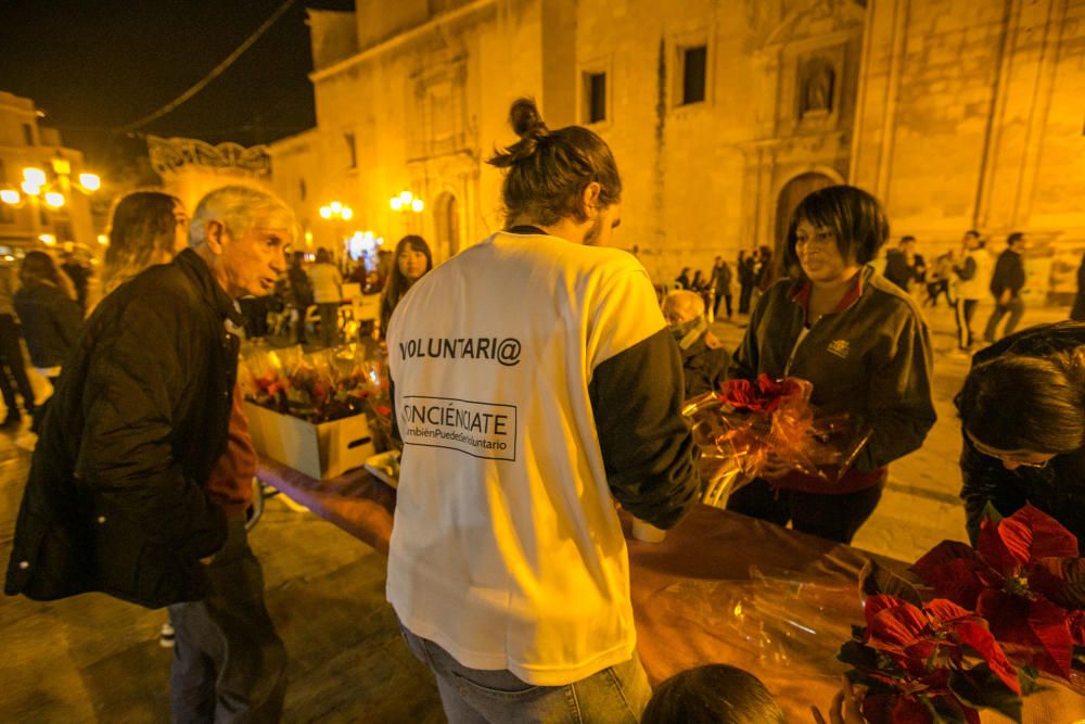 Día del Voluntariado en Elche