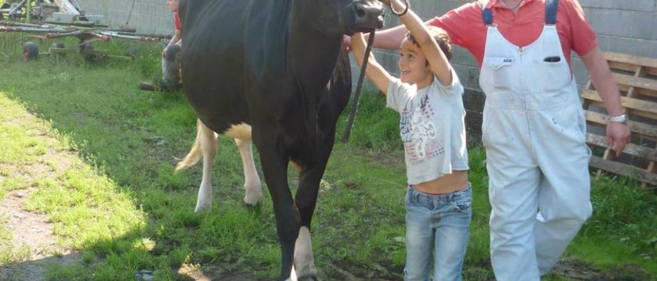 Arriba, a la izquierda, Carlos González practica con &quot;Romina&quot;, ayudado por Tomás Peláez; al lado, Ángel Villarejo aprende a manejar el ganado en pista. Junto a estas líneas, Laura González baña a &quot;Romina&quot;.