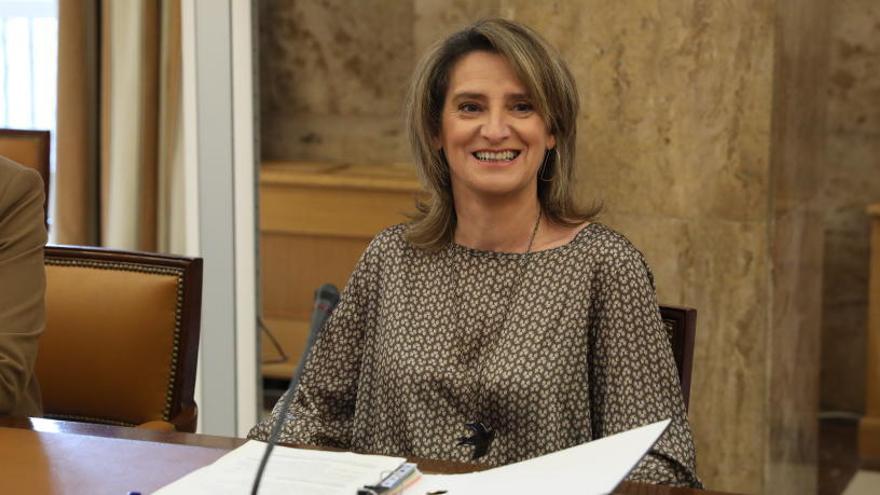 Teresa Ribera serà vicepresidenta de Transició Ecològica i Repte Demogràfic