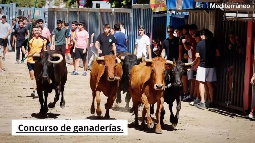 Concurs de ramaderies de les festes de la Mare de Déu de Gràcia de Vila-real