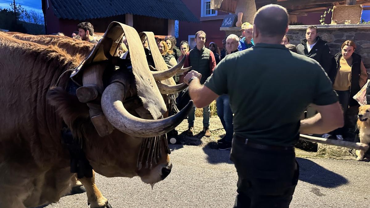 En imágenes: El VIII Esfoyón y Amagüestu de Almuña