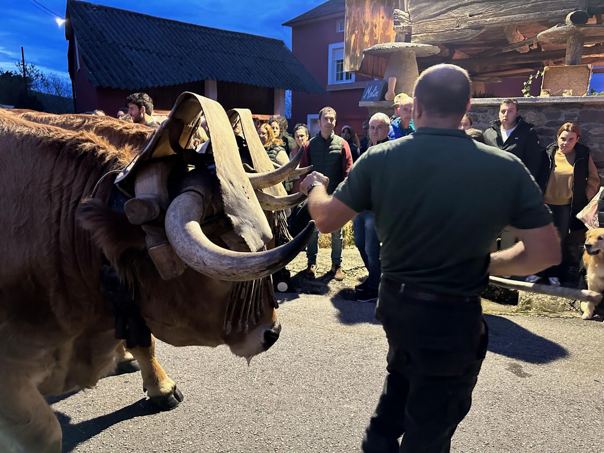 En imágenes: El VIII Esfoyón y Amagüestu de Almuña