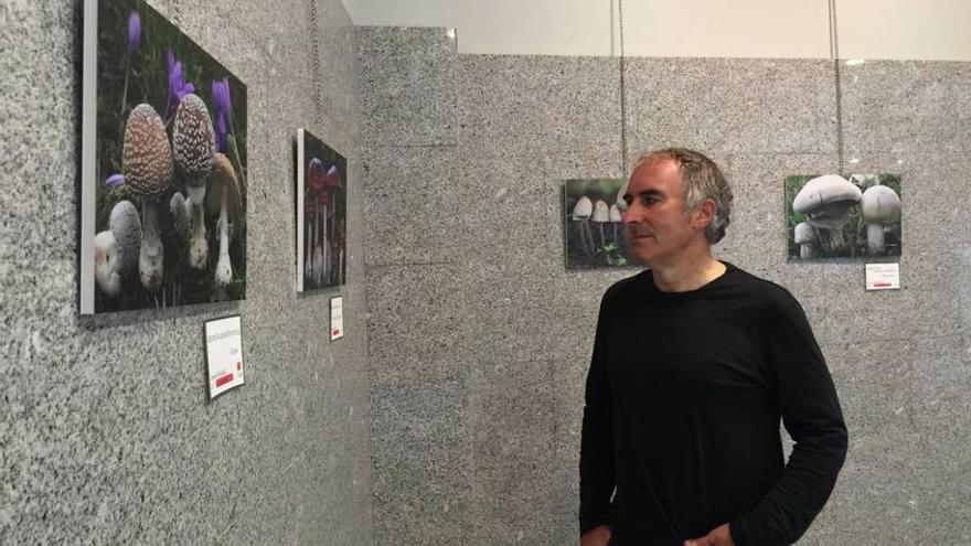 Carlos Victorero, junto a la muestra de fotos de setas de Piloña, ayer, en la Casa de Cultura de Infiesto.