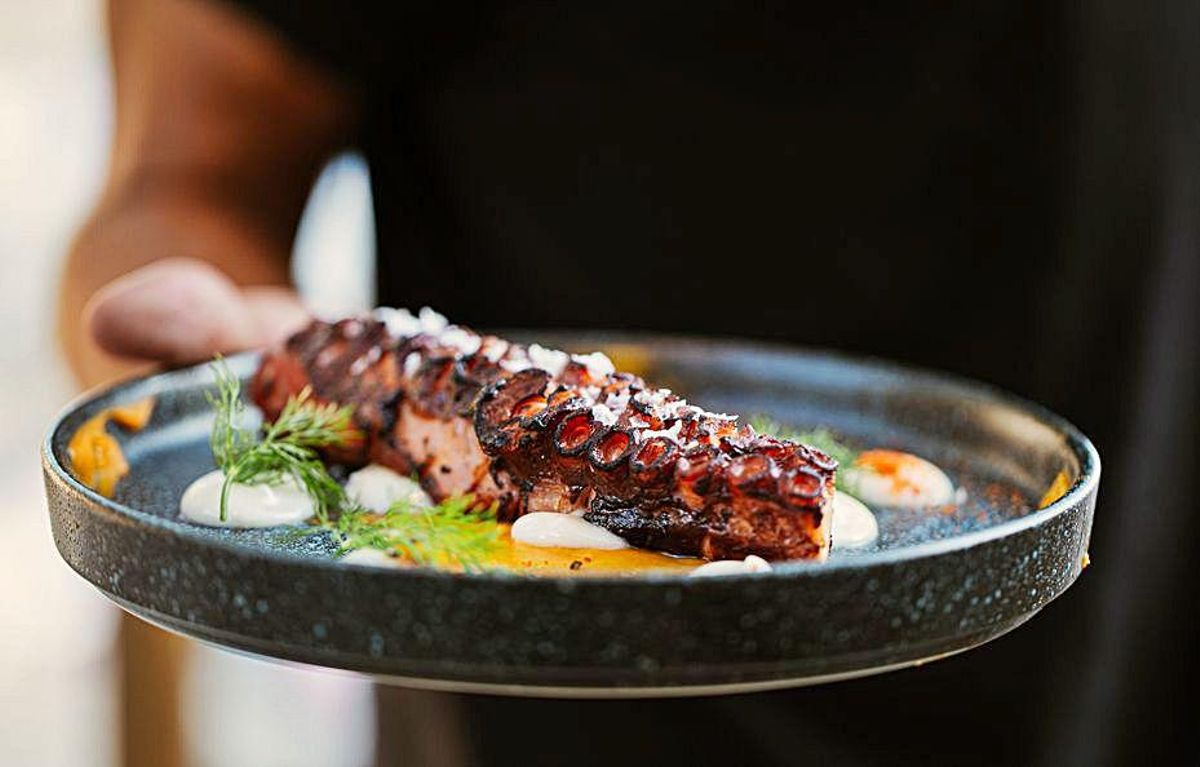 Delicioso pulpo a la brasa. | FOTOS: IMAM COMUNICACIÓN