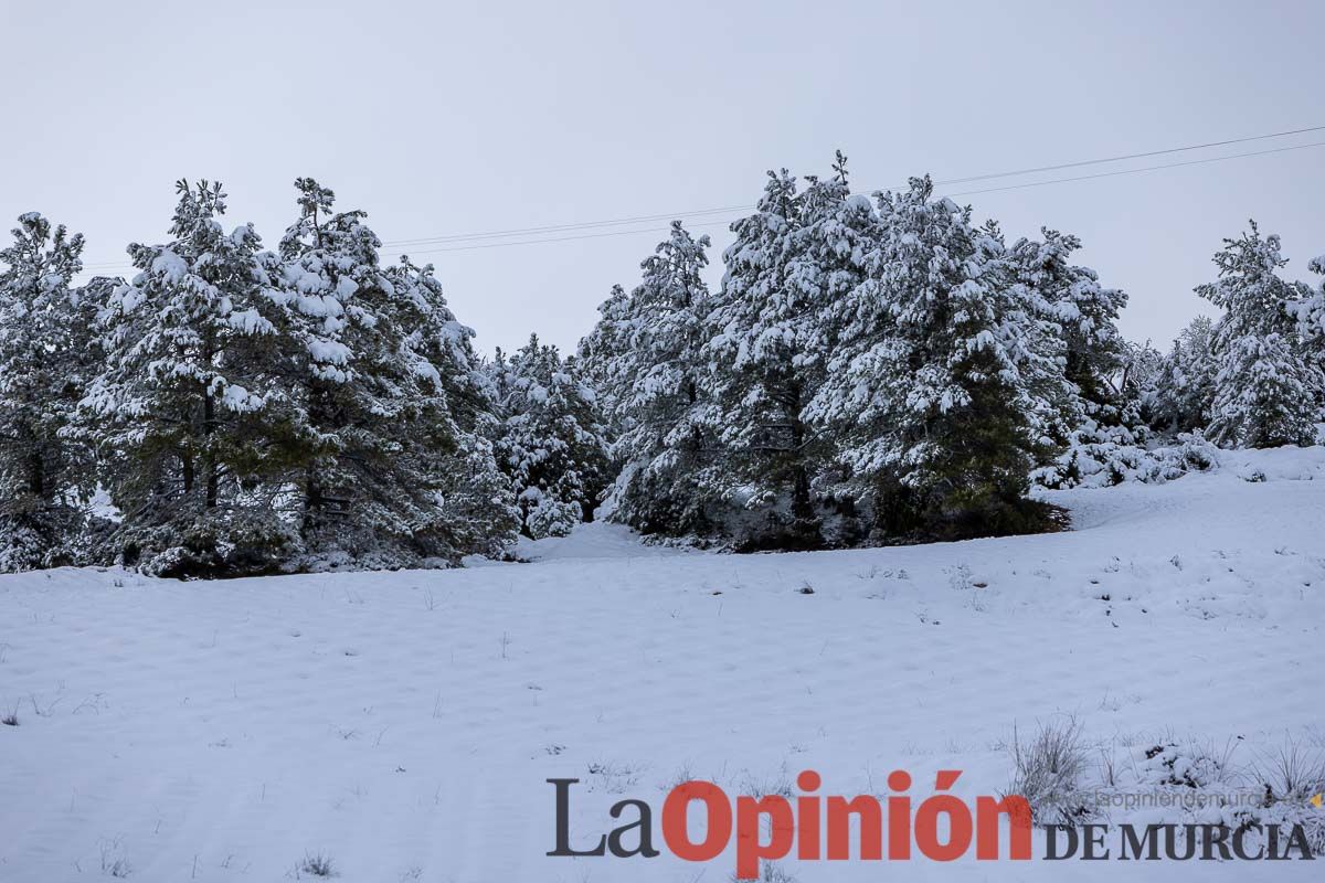 La comarca del Noroeste ofrece una estampa invernal