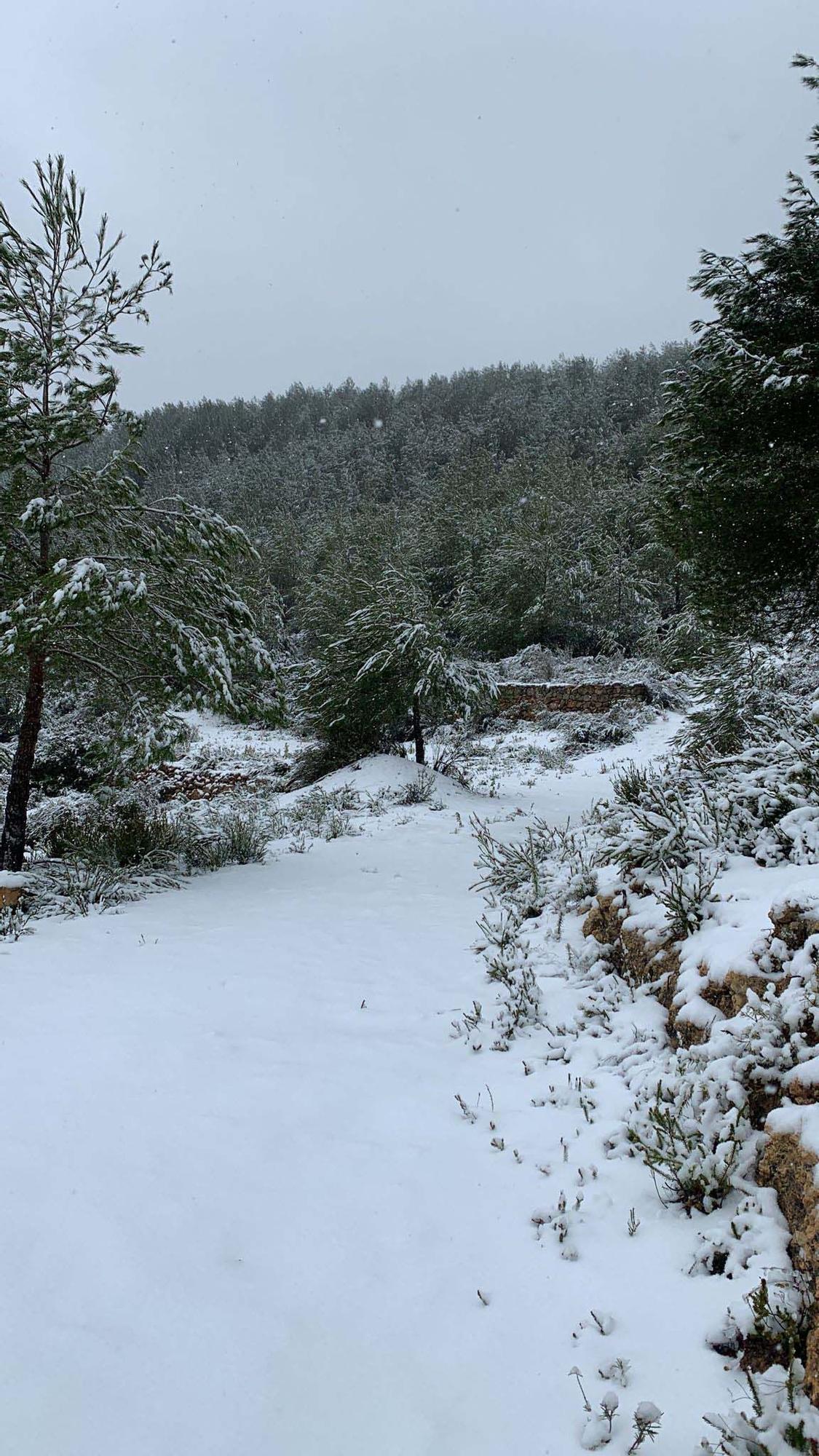 Galería de imágenes de la nevada por la borrasca Juliette en Ibiza