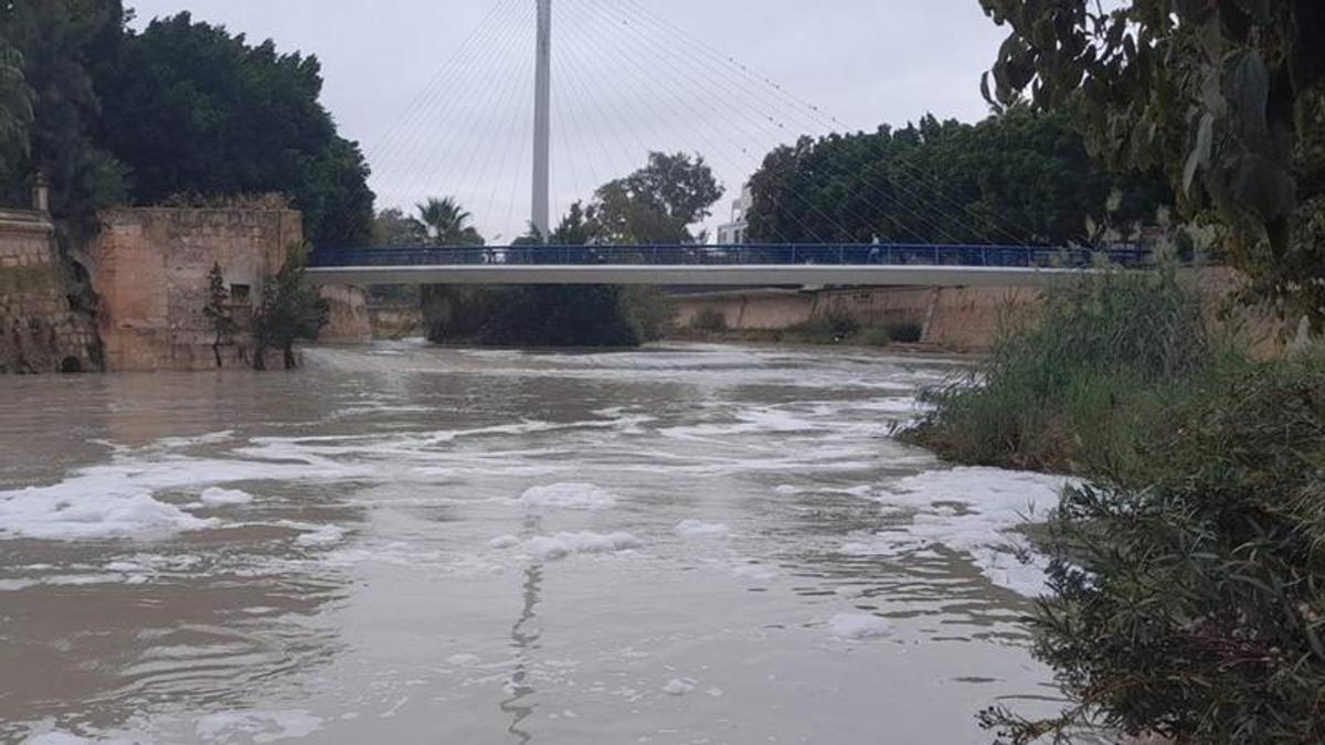 Espuma en el río Segura