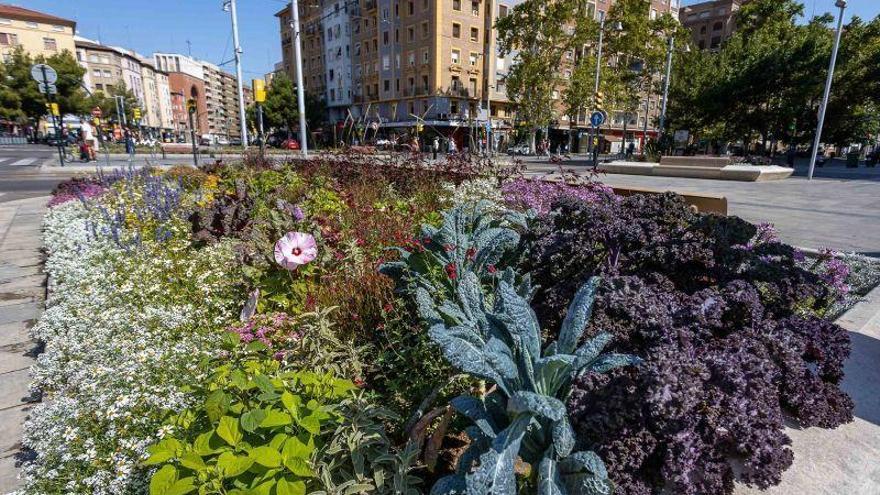 Más de 12.000 nuevas plantas con flor embellecen diferentes zonas de la ciudad