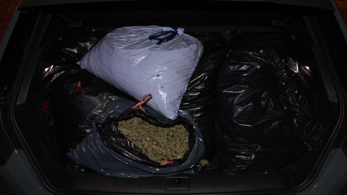 Les bosses comissades amb els cabdells de marihuana a l&#039;interior