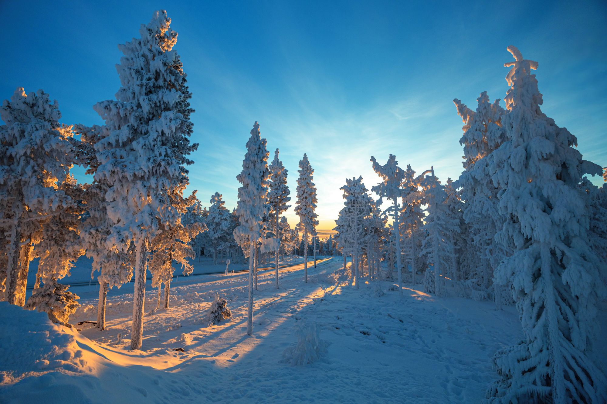 Carretera que asciende a Levi Summit.