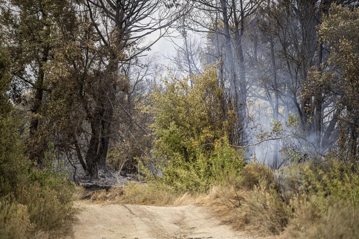Imatges de l'incendi de Sant Quirze Safaja Imatges de l'incendi de Sant Quirze Safaja