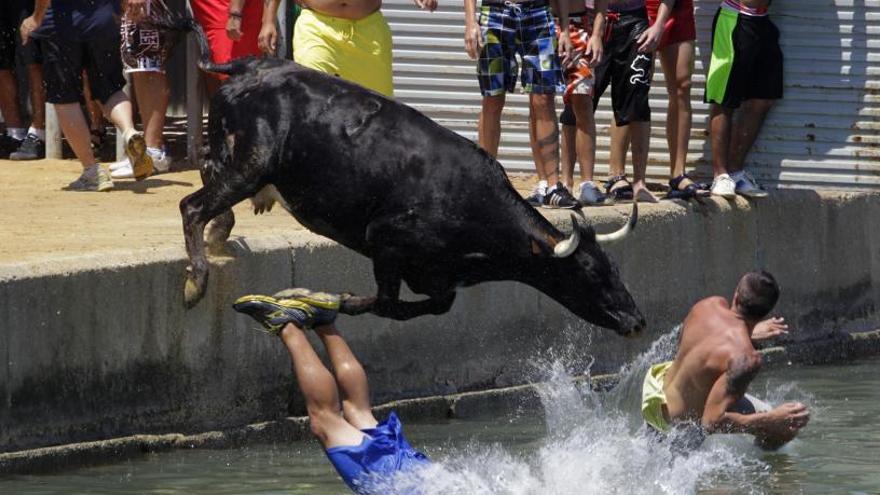 Calp plantea hacer &quot;bous a la mar&quot; para conmemorar el centenario de su cofradía de pescadores