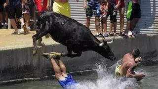 Calp plantea hacer "bous a la mar" para conmemorar el centenario de su cofradía de pescadores