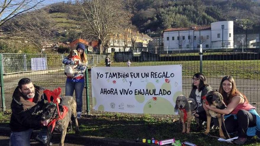 Foto de familia de algunos de los perros que participaron en la actividad de ayer, ante el área canina del campus de Mieres.