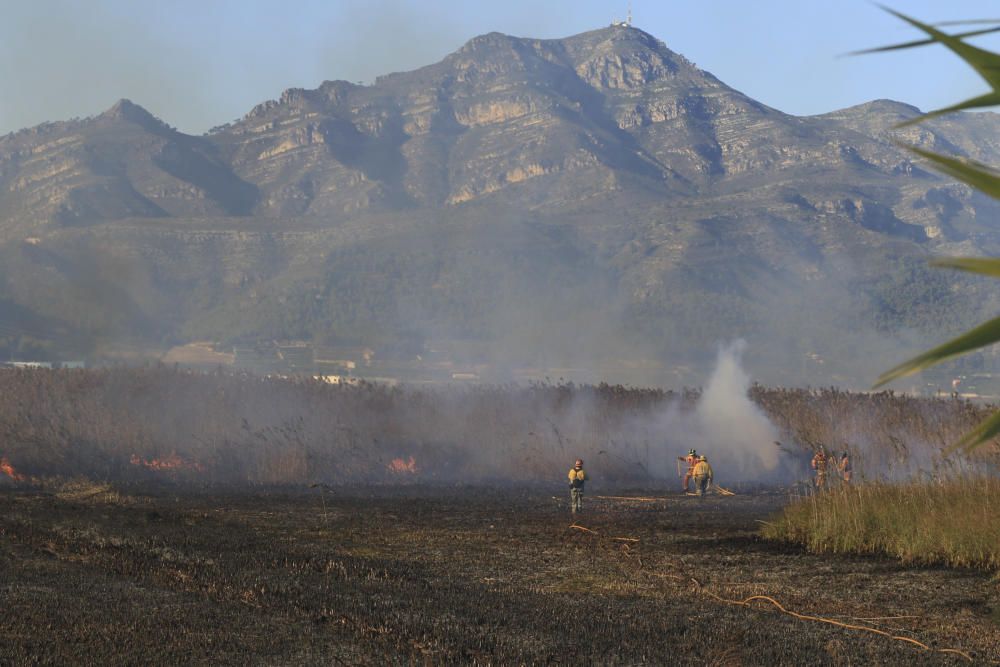 Incendio en el marjal de Gandia