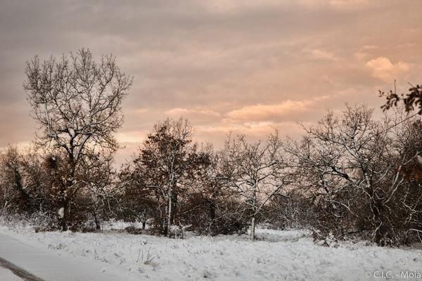 Neu a la Catalunya central