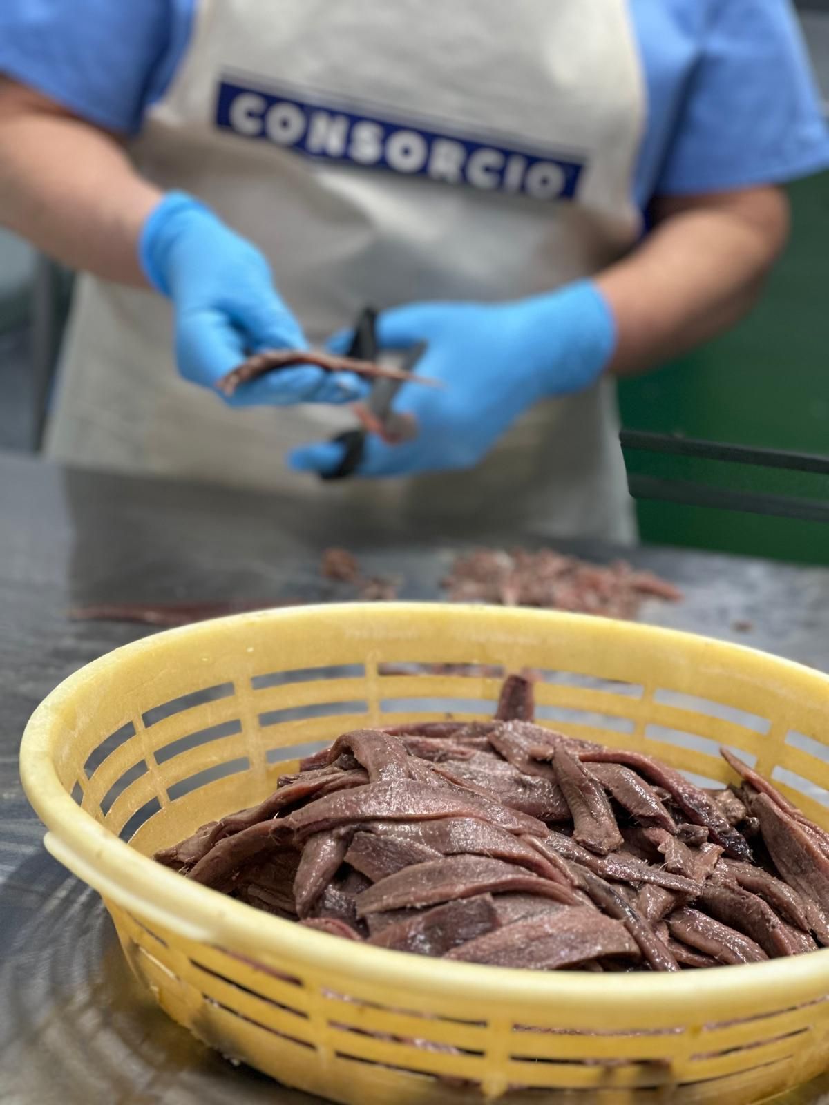 Anchoas de Grupo Consorcio, en Santoña.