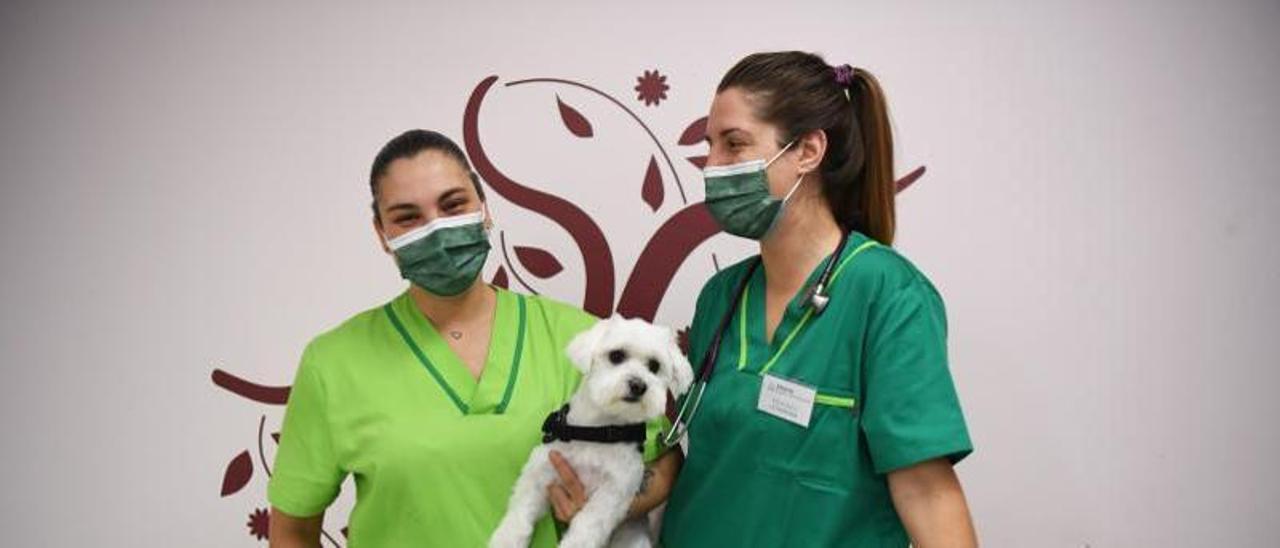 Adriana Cerqueiras y María Ibarra posan con Kay en el hospital Abeiro.   | // CARLOS PARDELLAS