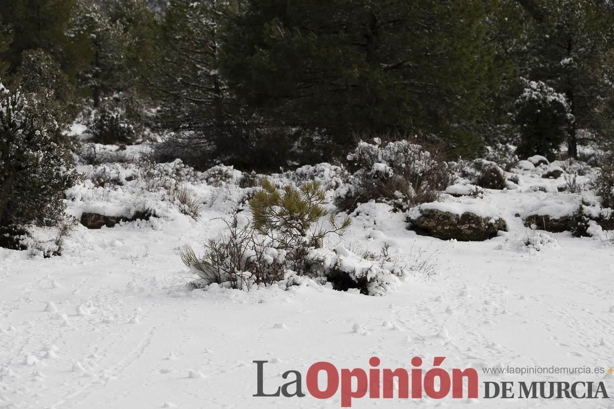 La borrasca Herminia tiñe de blanco la cima de la Región de Murcia