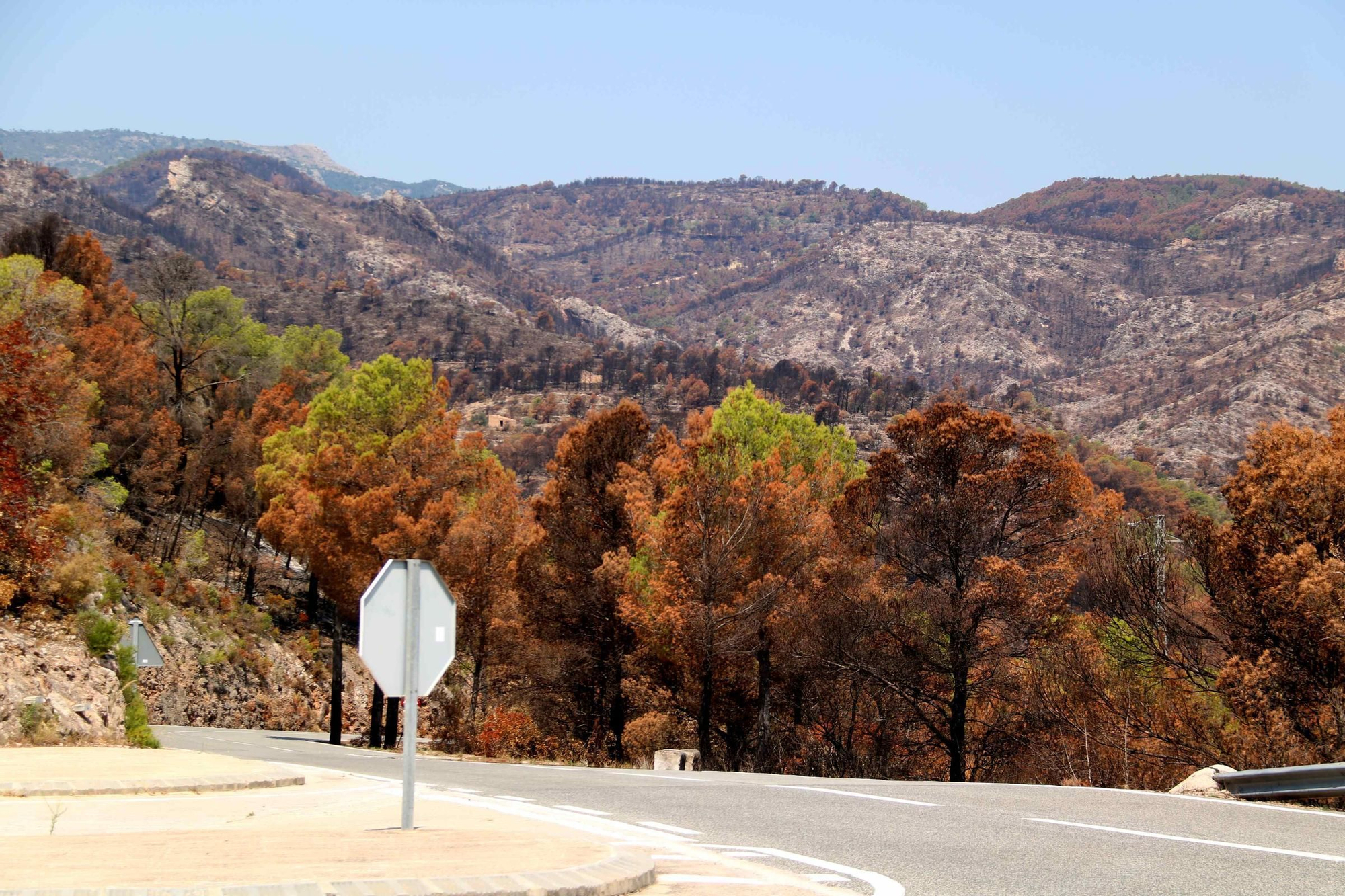 Les fotos de l'incendi de Paüls a vista de dron