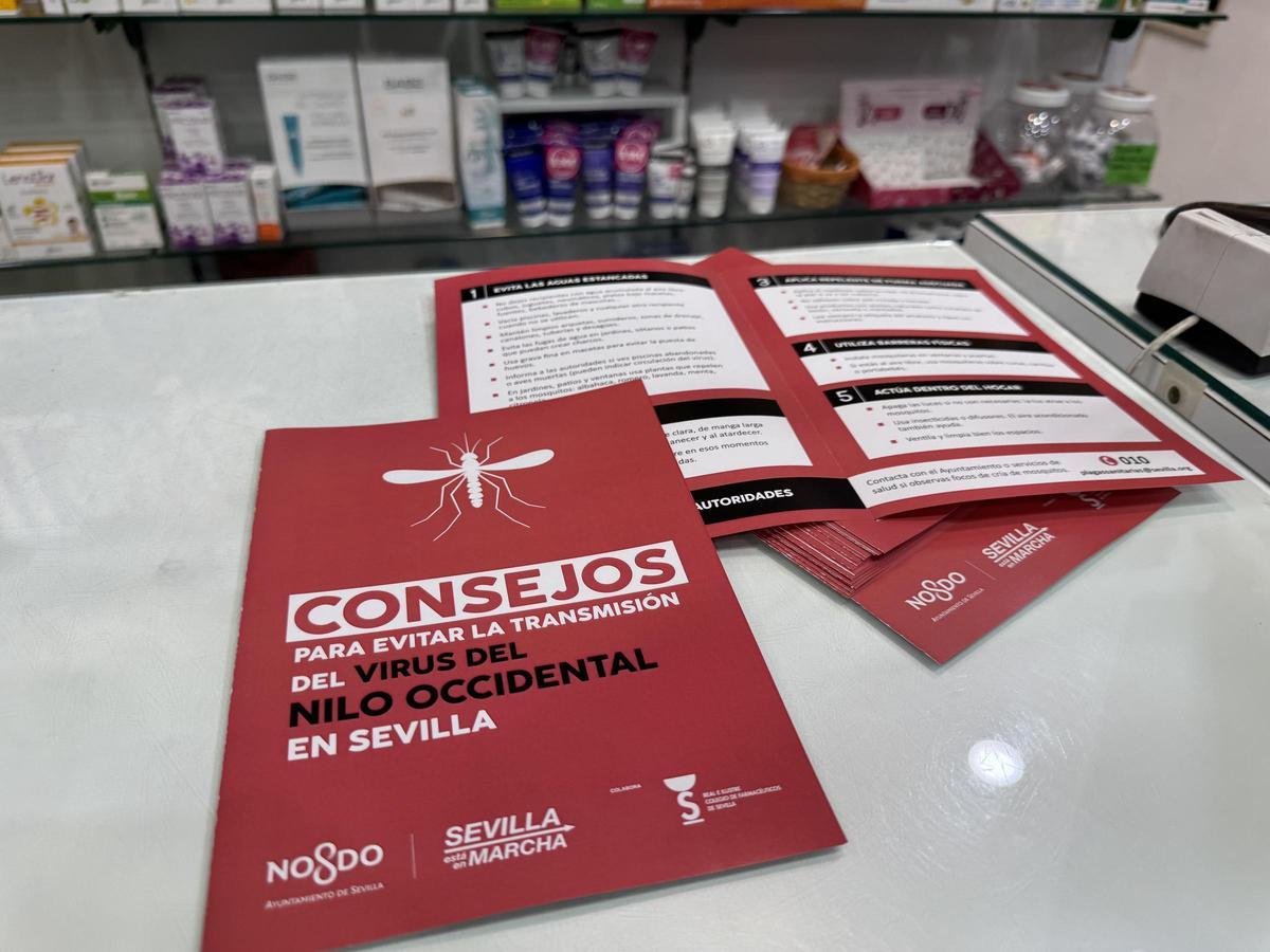 Carteles del Ayuntamiento de Sevilla con consejos de prevención contra el virus del Nilo en las farmacias de la ciudad.
