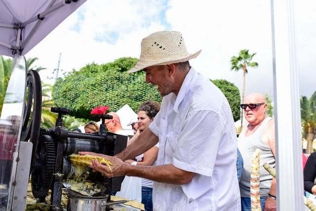 II Feria del Aguacate en Arguineguín