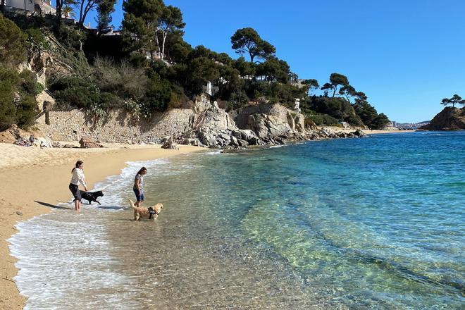 Estas son las cincuenta playas de Catalunya que tendrán área de baño con perros este verano