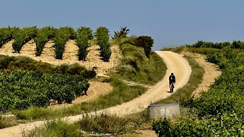 Orbea Gravel Rioja Alavesa, éxito asegurado a menos de un mes de su celebración