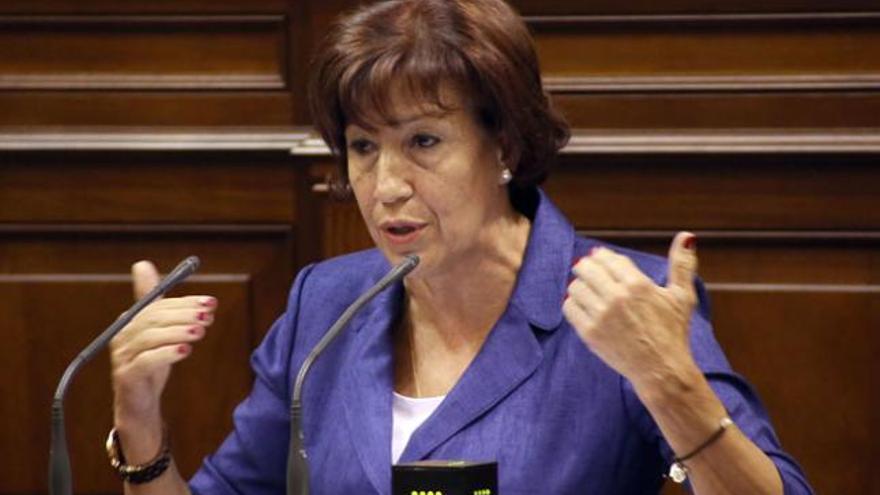 La consejera Inés Rojas ayer durante su intervención parlamentaria. | acfi press