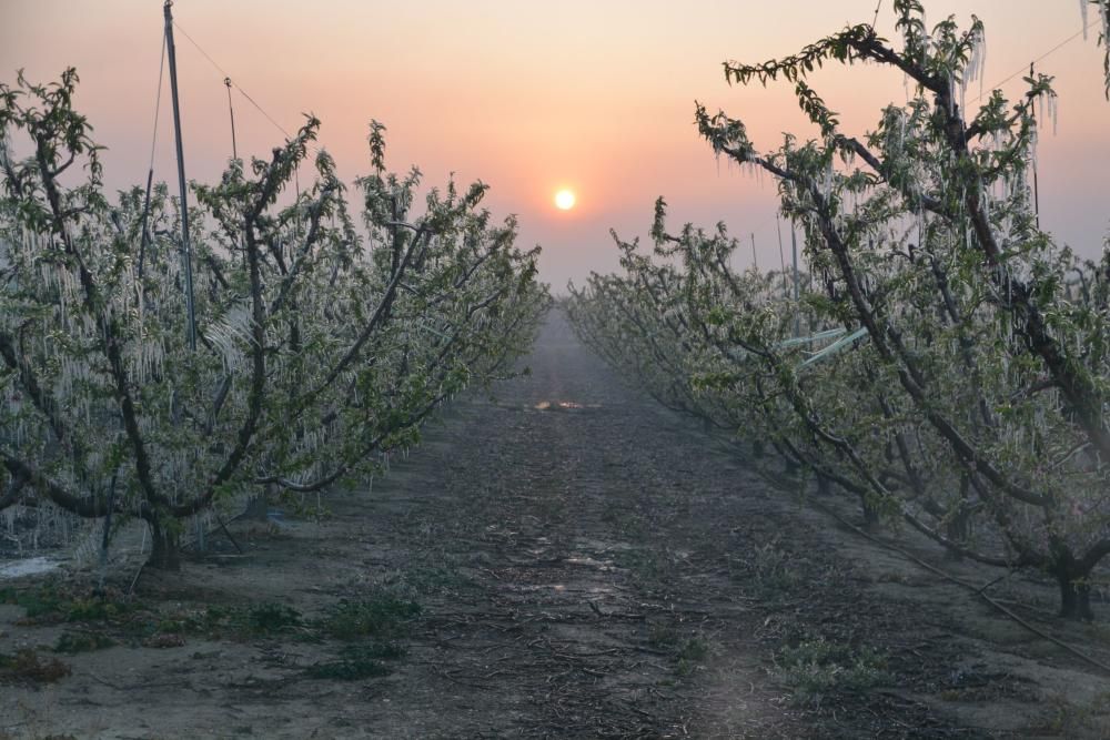 Heladas en la Región de Murcia