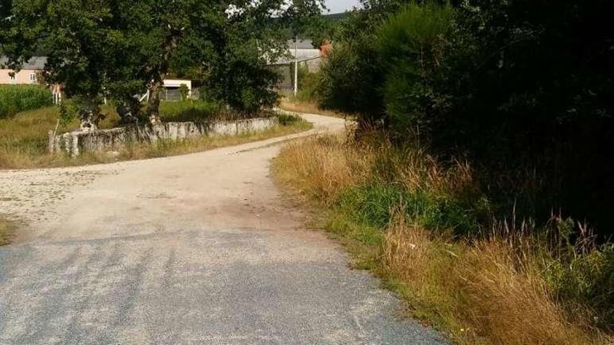 Imagen del camino de acceso a Torreboredo.