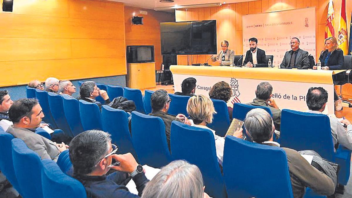 Alcaldes del interior durante la reunión con Agricultura, en Castelló.