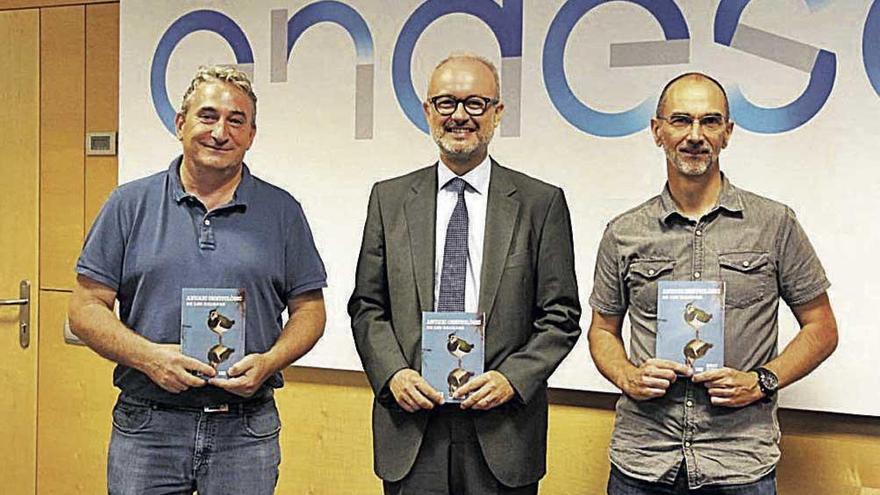 Manuel Suárez, del GOB, el director de Endesa, Martí Ribas (c), y el coordinador del GOB, Antoni Muñoz.