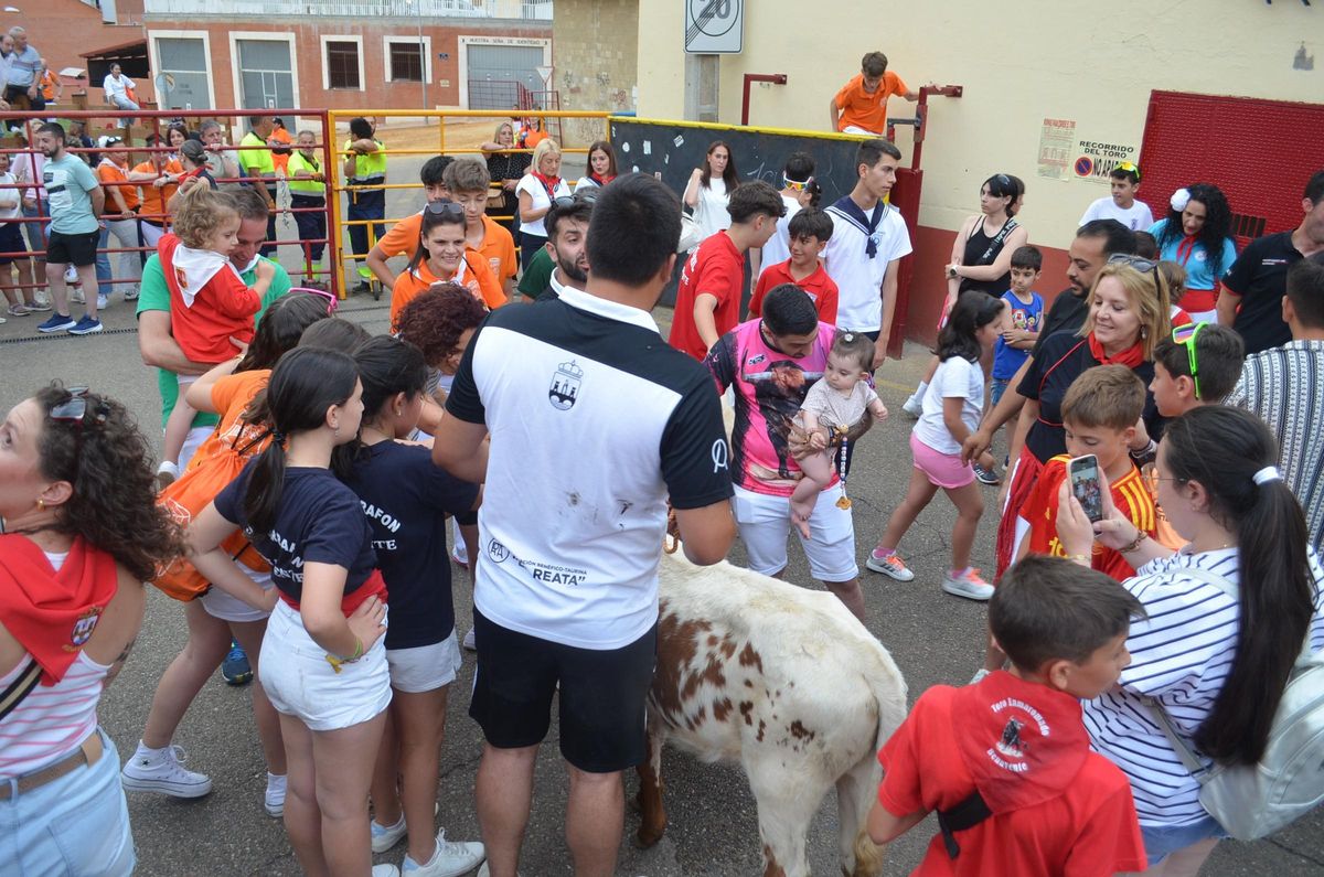 Niños y mayores aprovecharon la presencia de los animales en la calle para acariciarlos y hacerse fotografías con ellos.