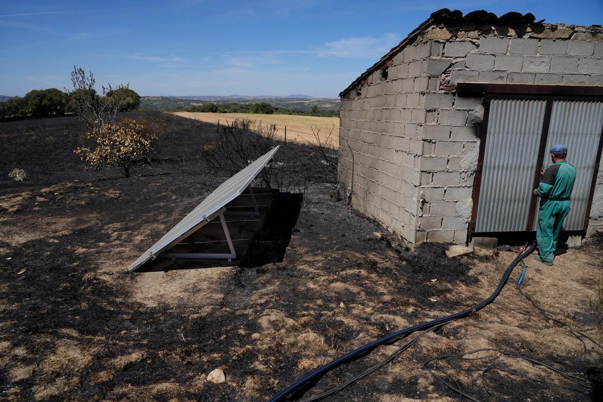 GALERÍA | El paso del fuego por Mámoles arrasa la explotación de Alfredo Fernándes