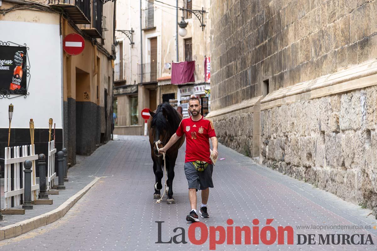 Control veterinario de los Caballos del Vino en Caravaca