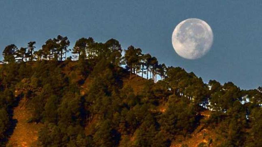 La luna se oculta al amanecer sobre el Pico de Altavista. | josé carlos guerra